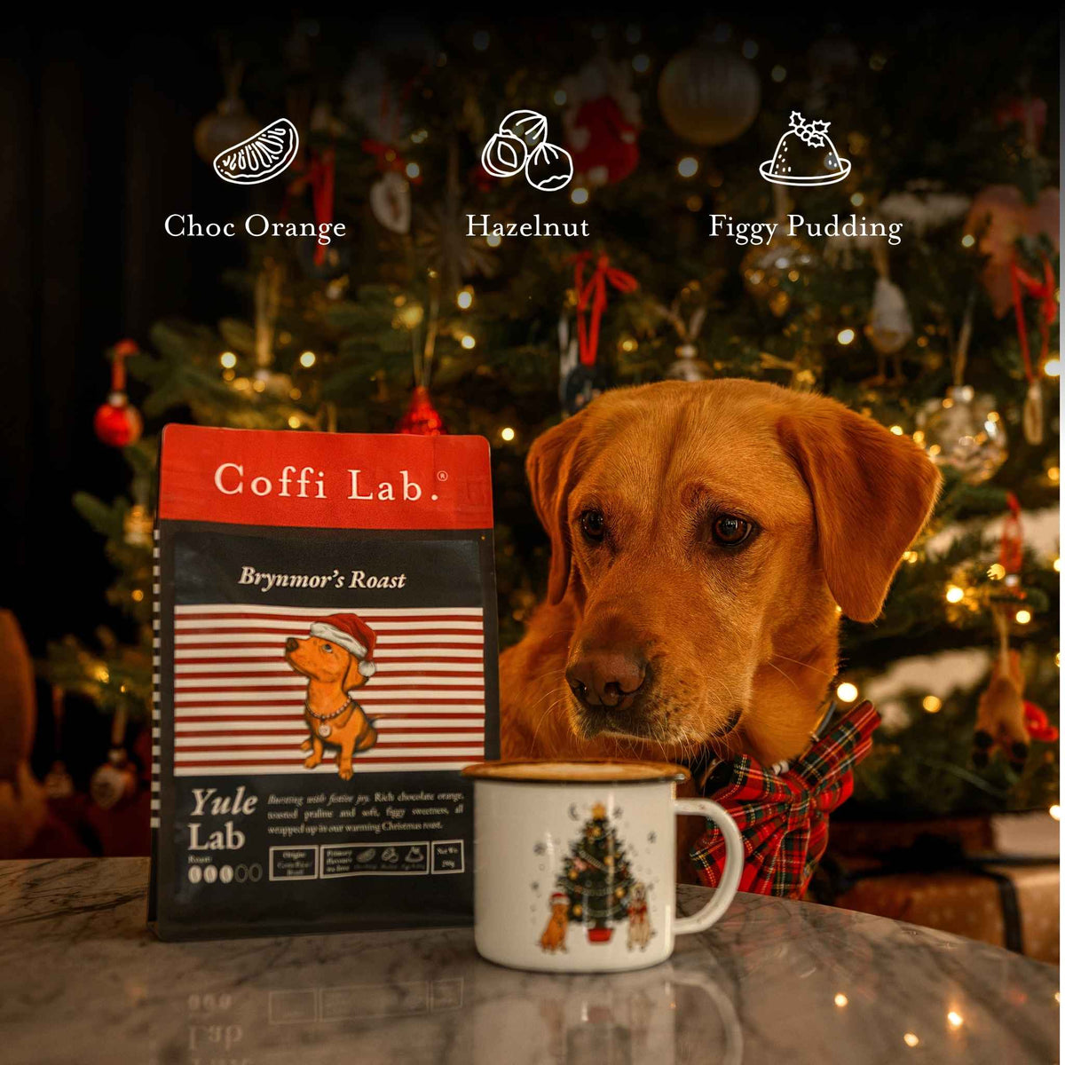 Yule Lab