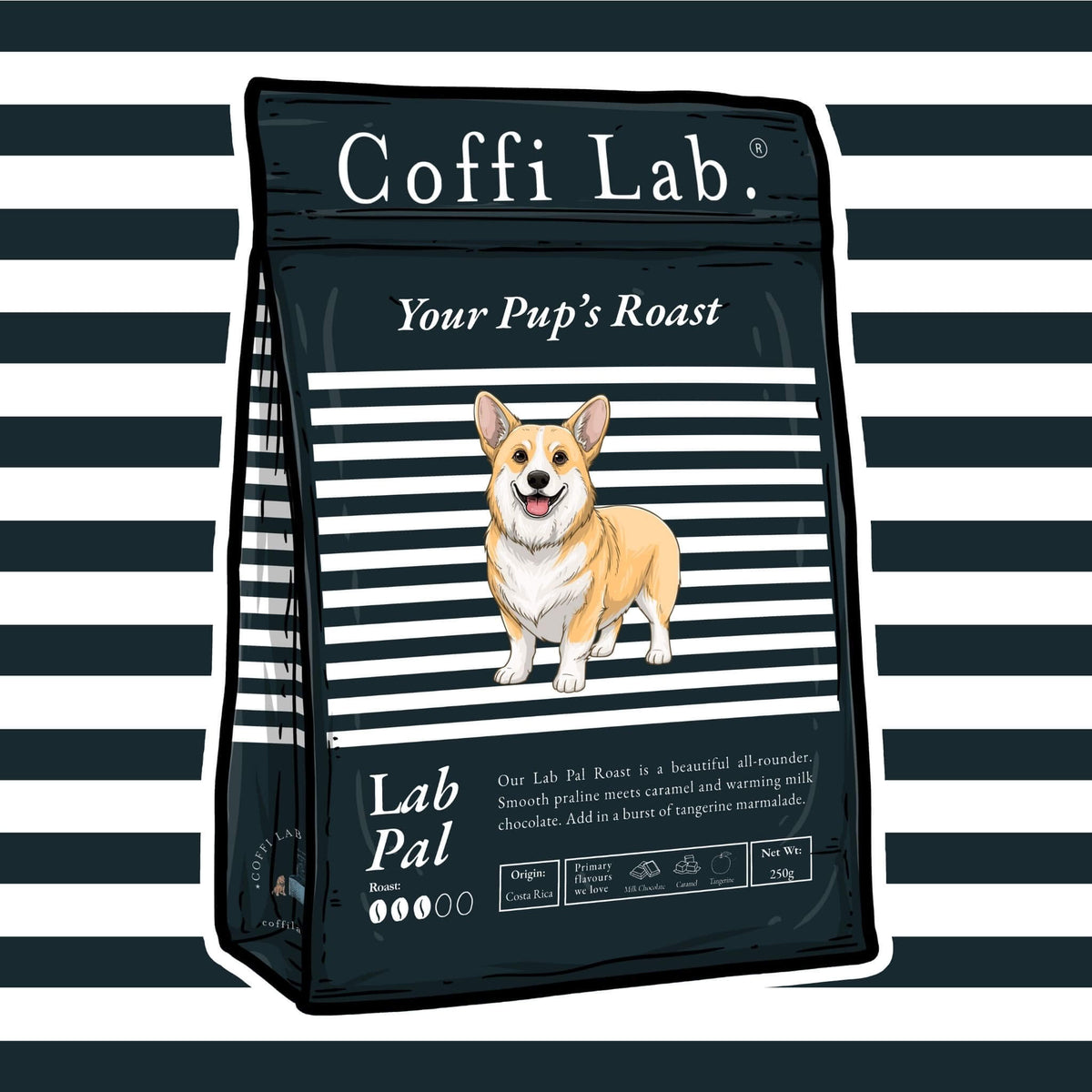 Lab Pal