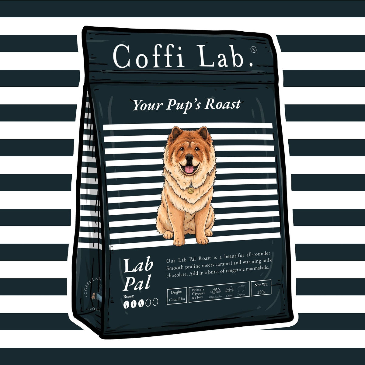Lab Pal
