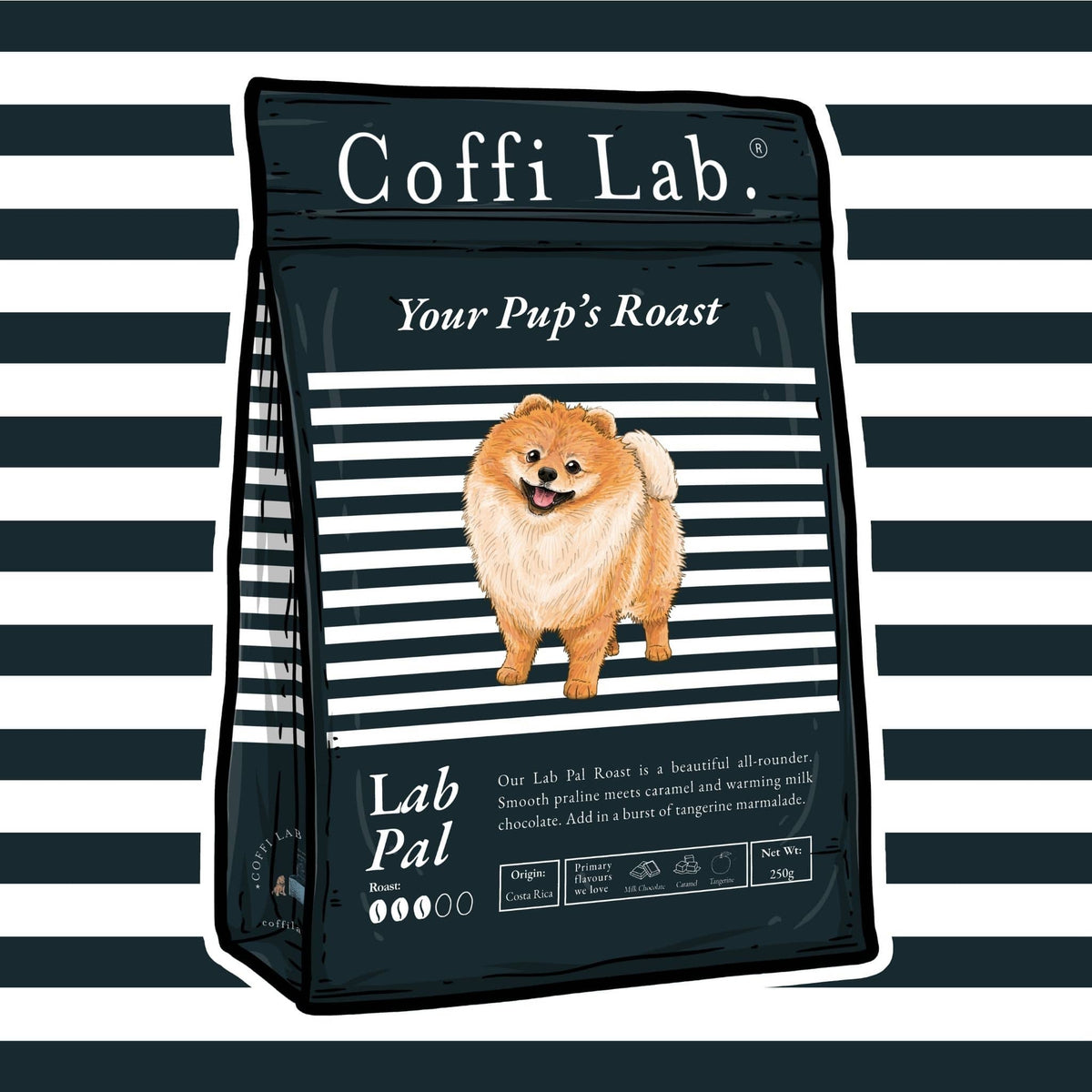 Lab Pal