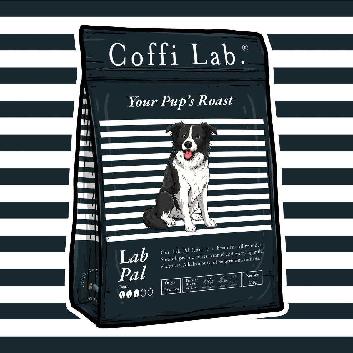 Lab Pal