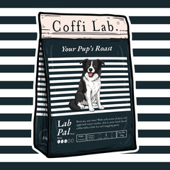 Lab Pal (Decaf)