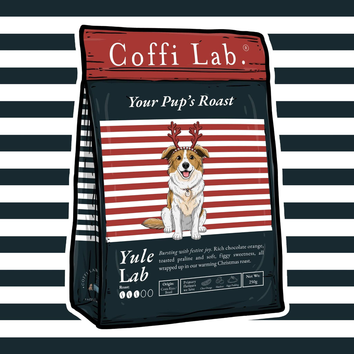 Yule Lab