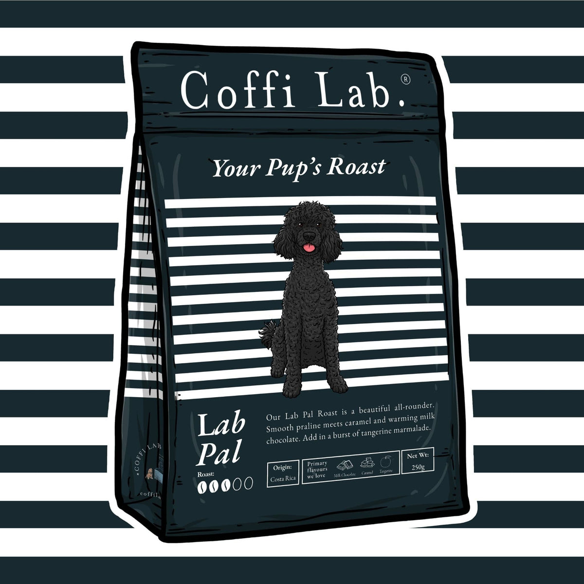 Lab Pal