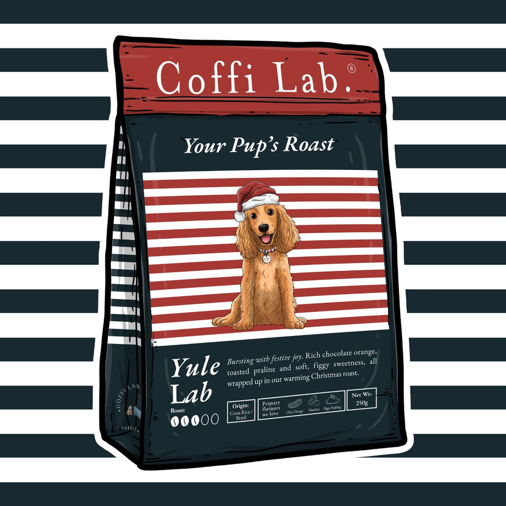 Yule Lab