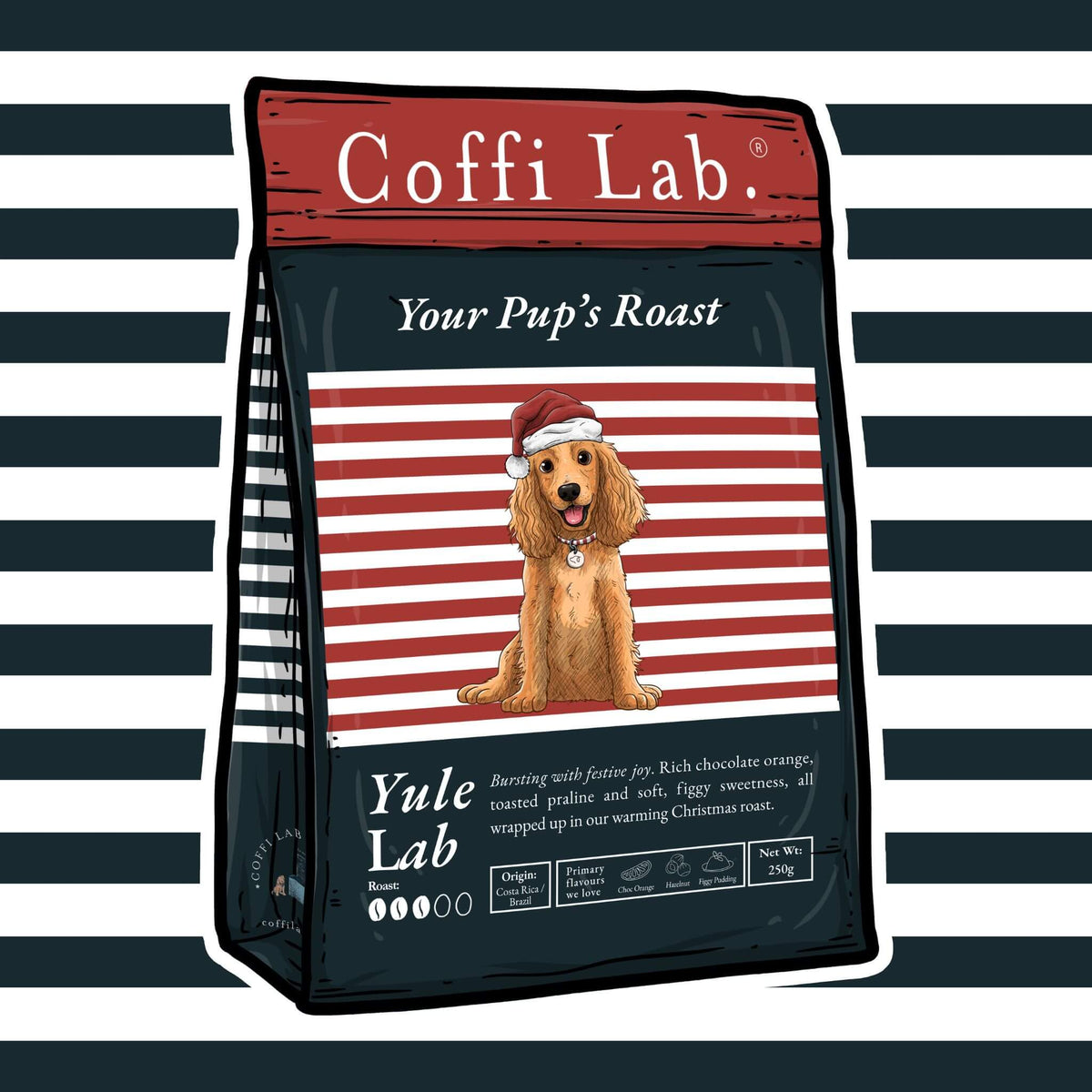 Yule Lab