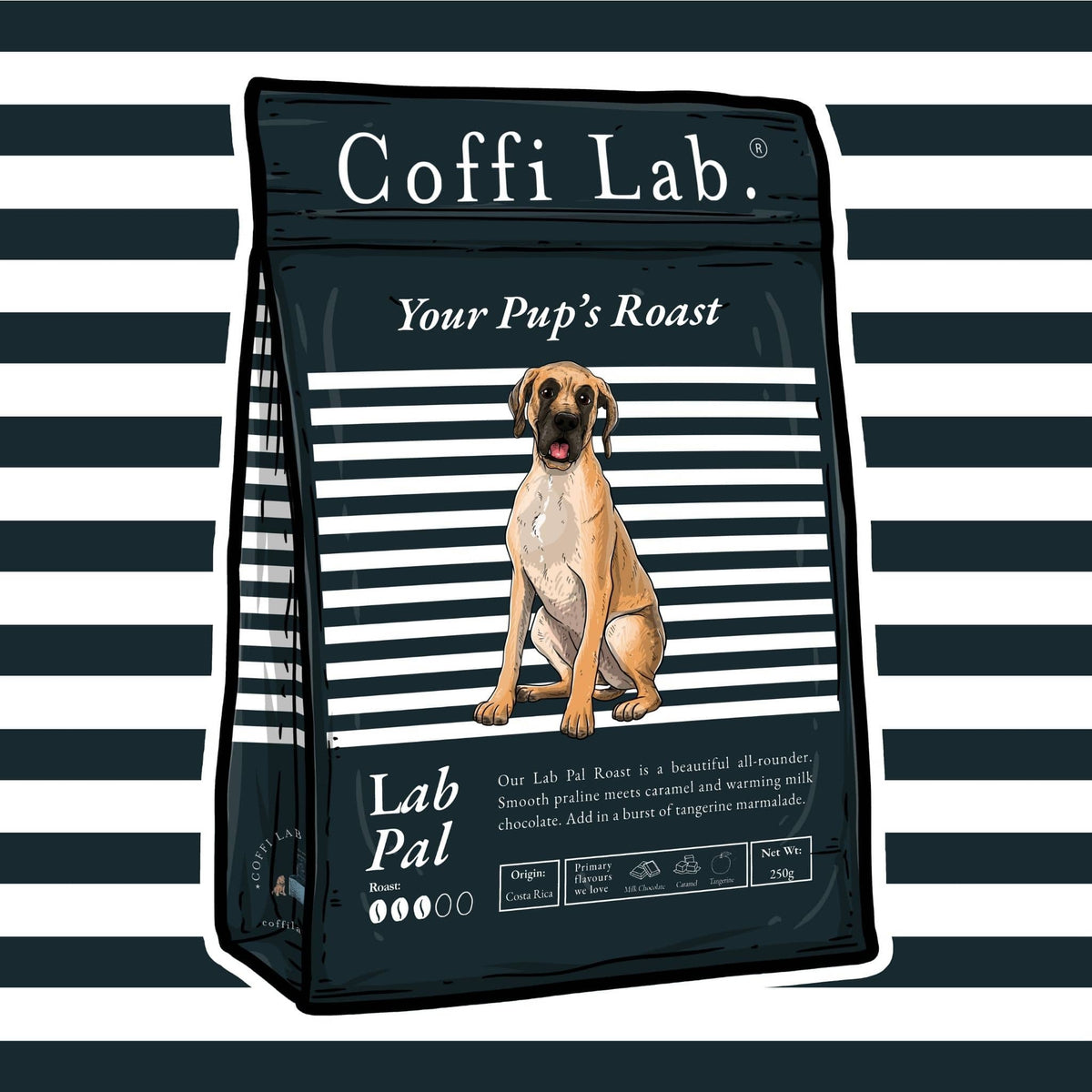 Lab Pal