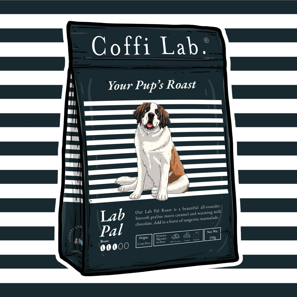 Lab Pal