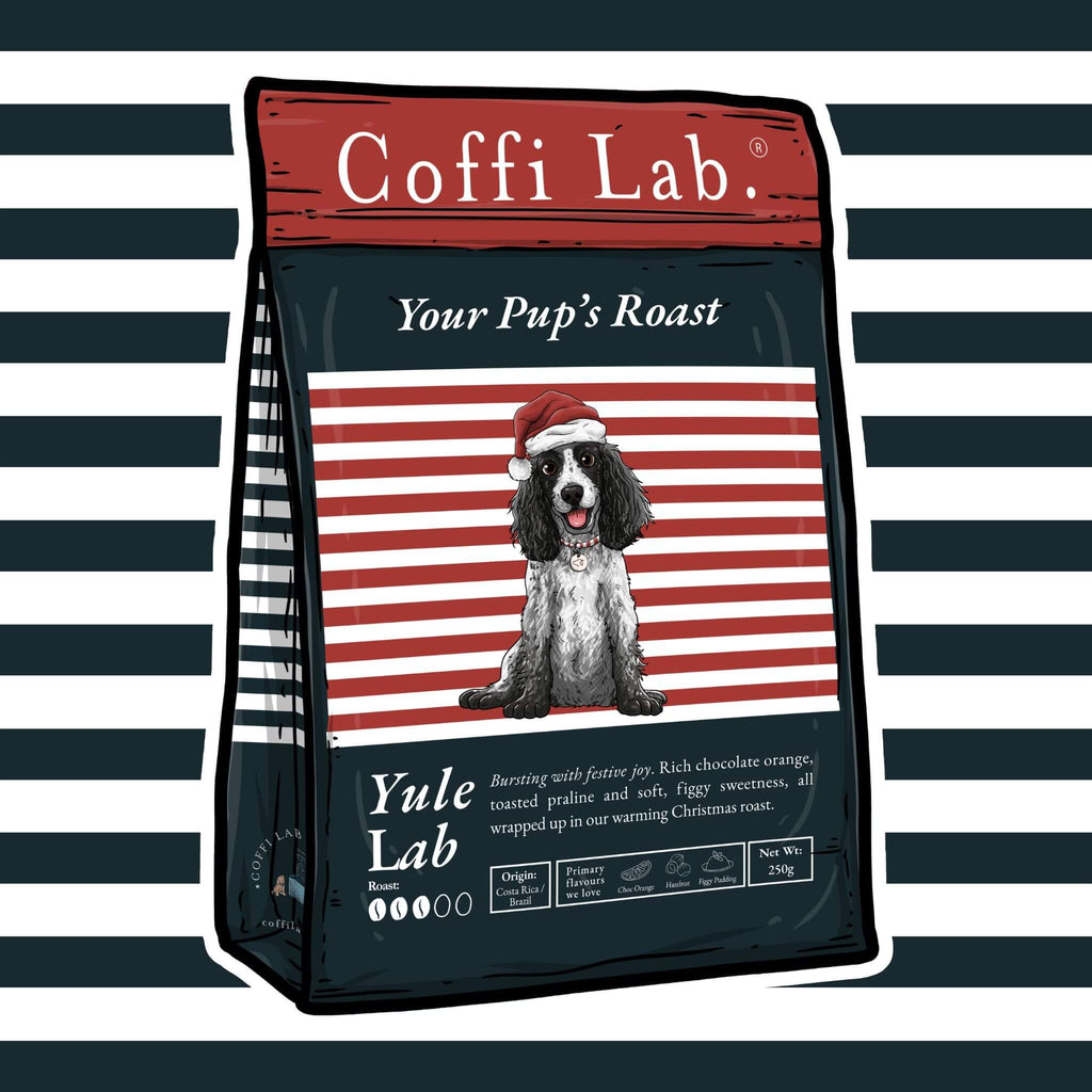 Yule Lab