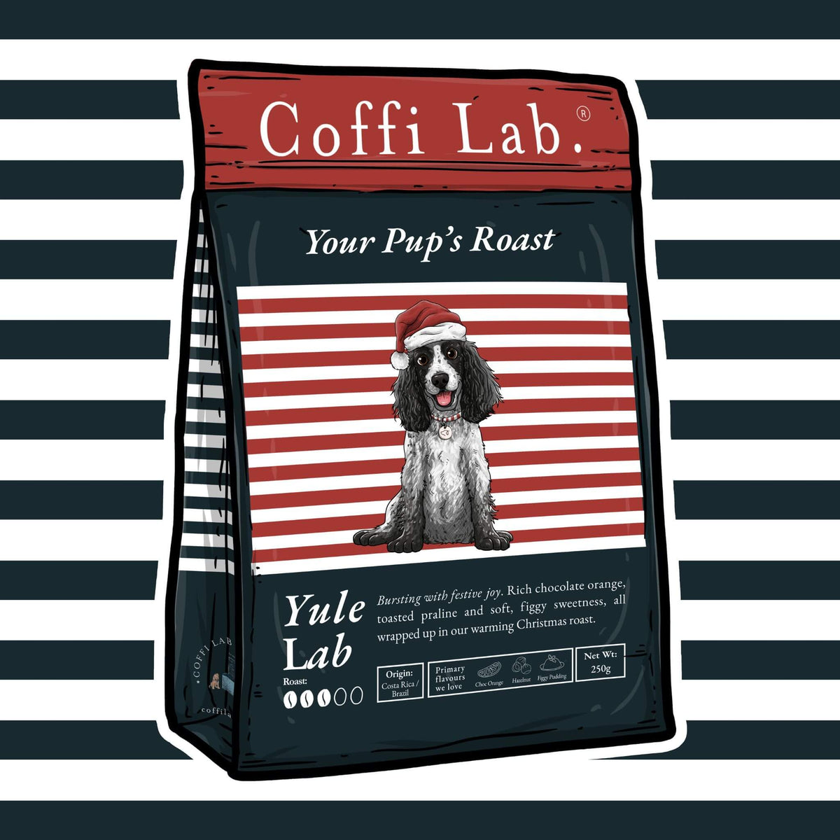 Yule Lab