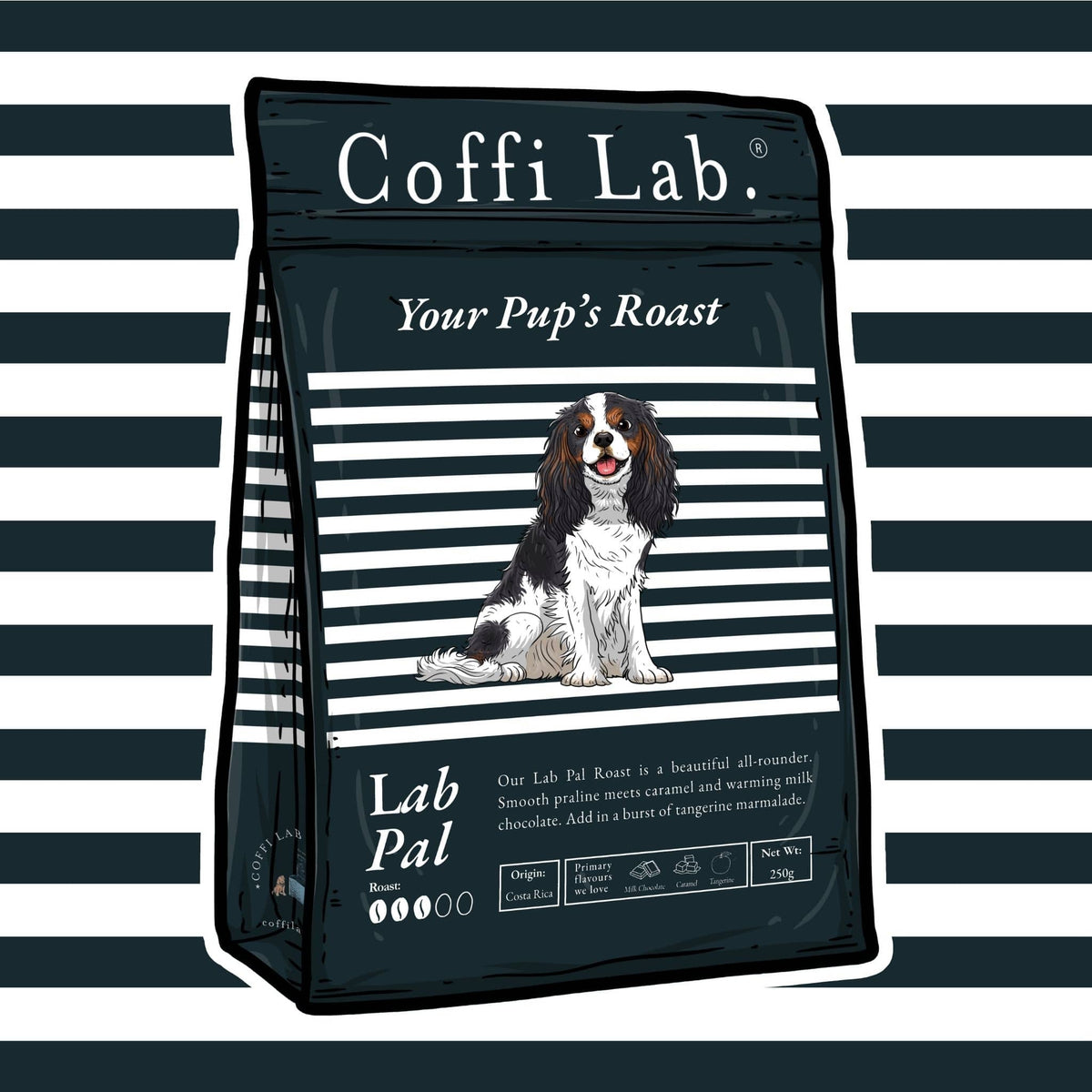 Lab Pal