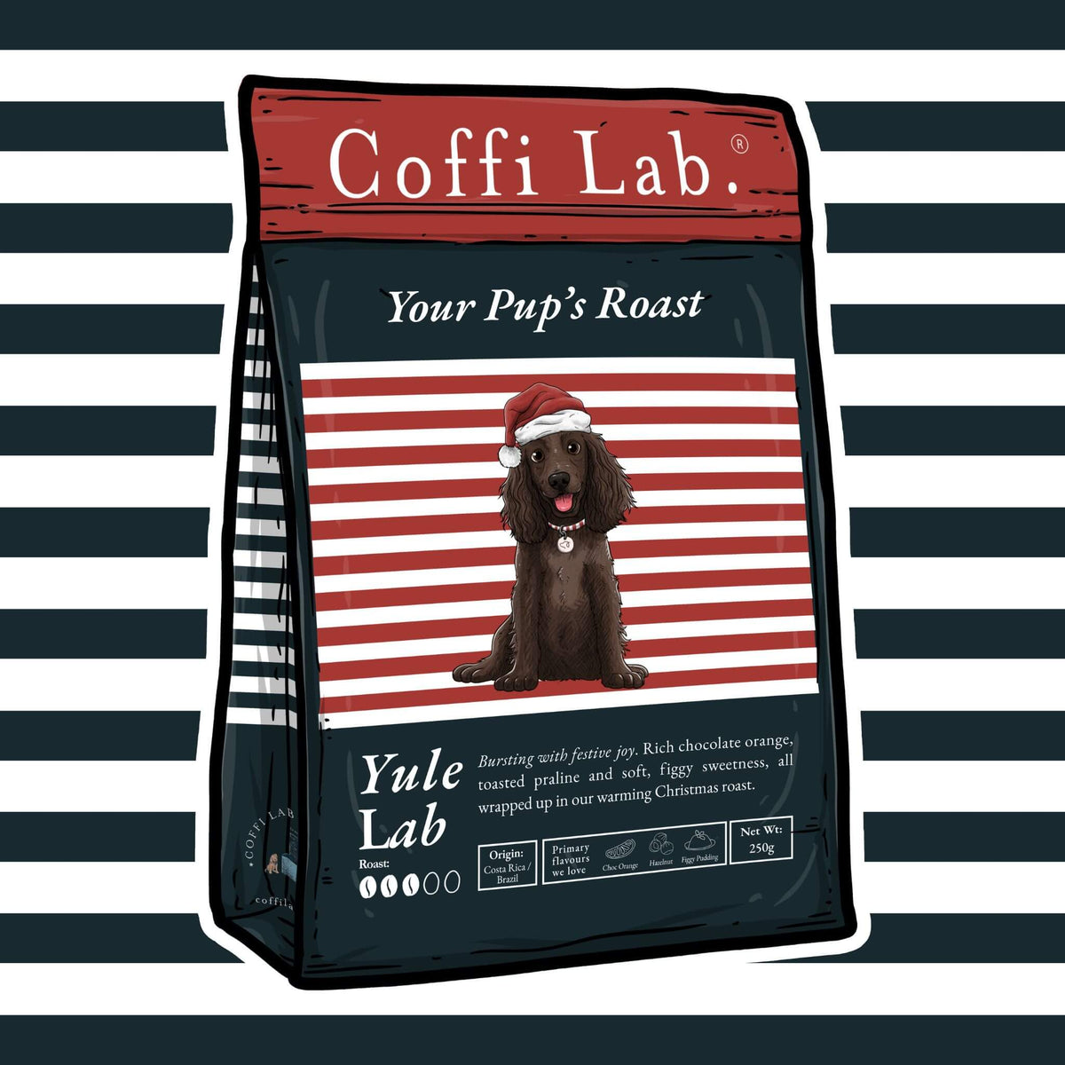 Yule Lab