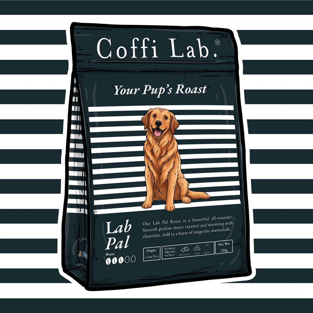 Lab Pal