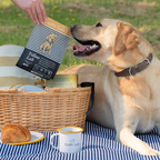 Yellow Lab