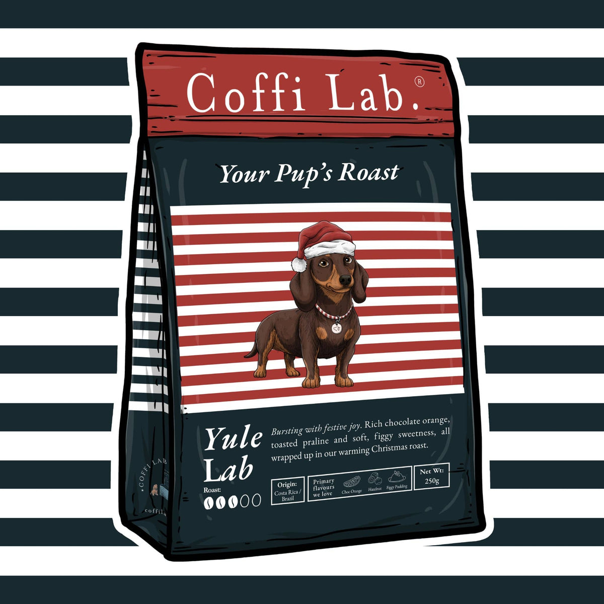 Yule Lab