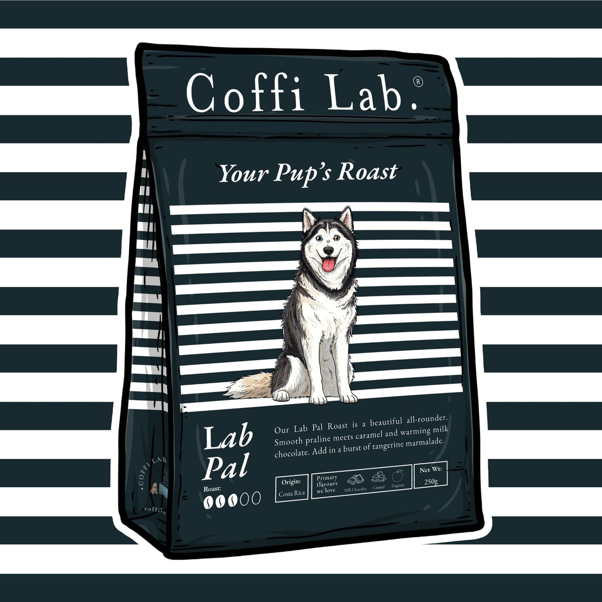 Lab Pal