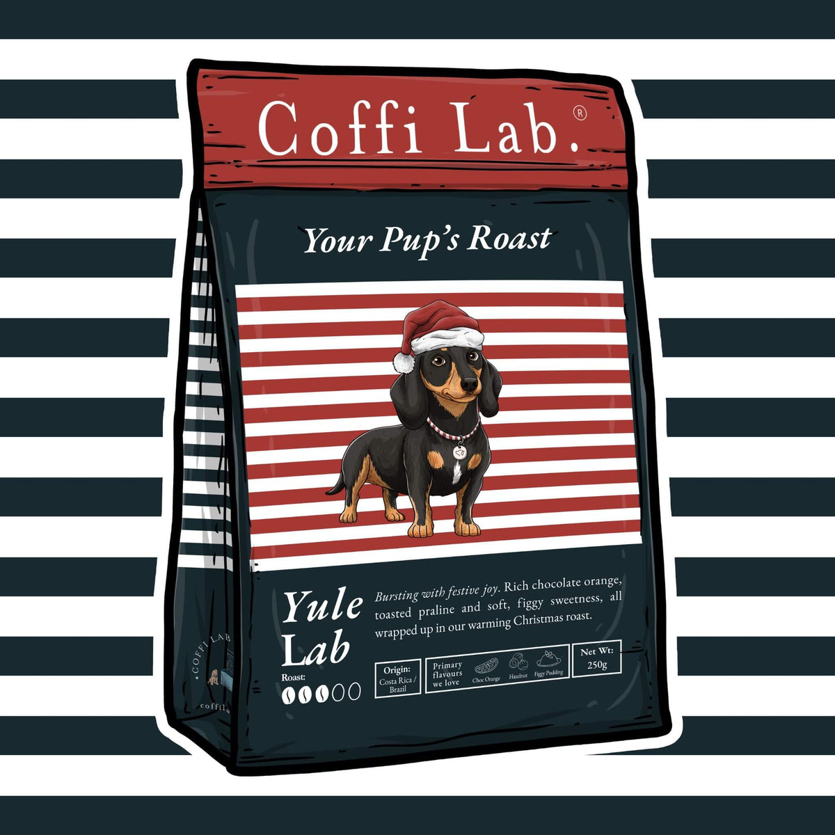 Yule Lab