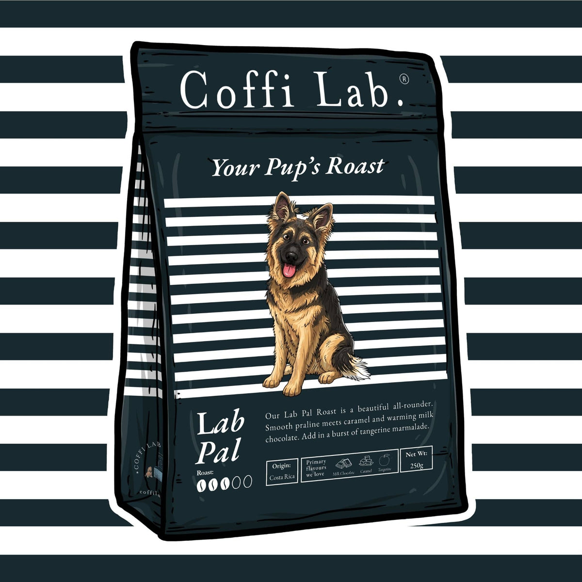 Lab Pal
