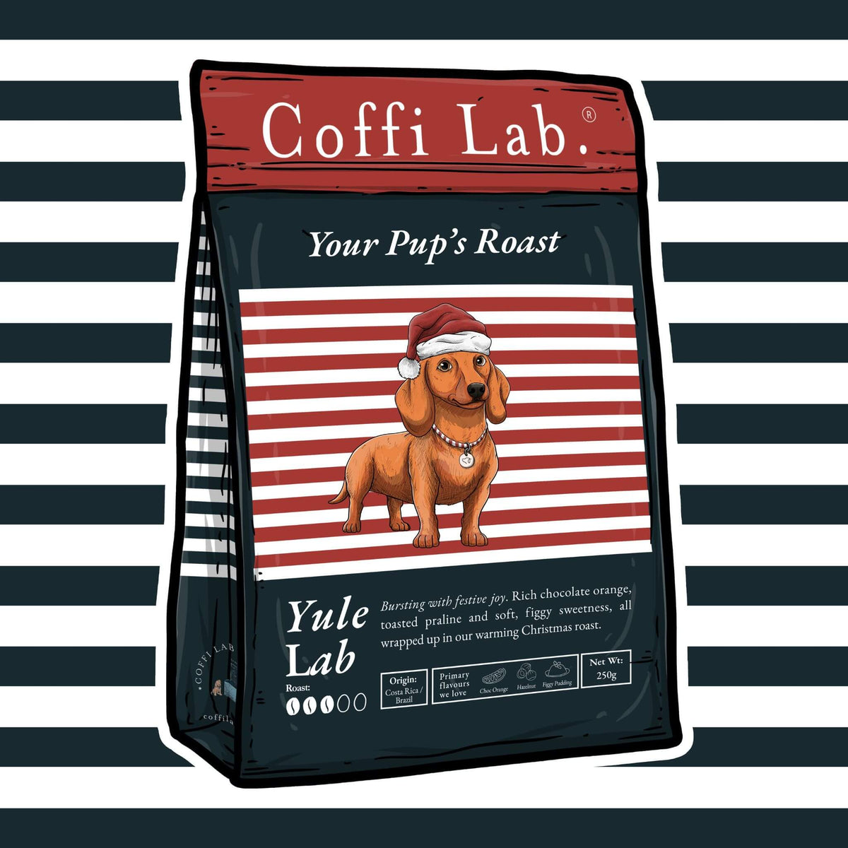 Yule Lab