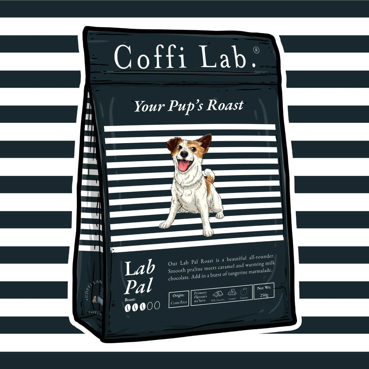 Lab Pal