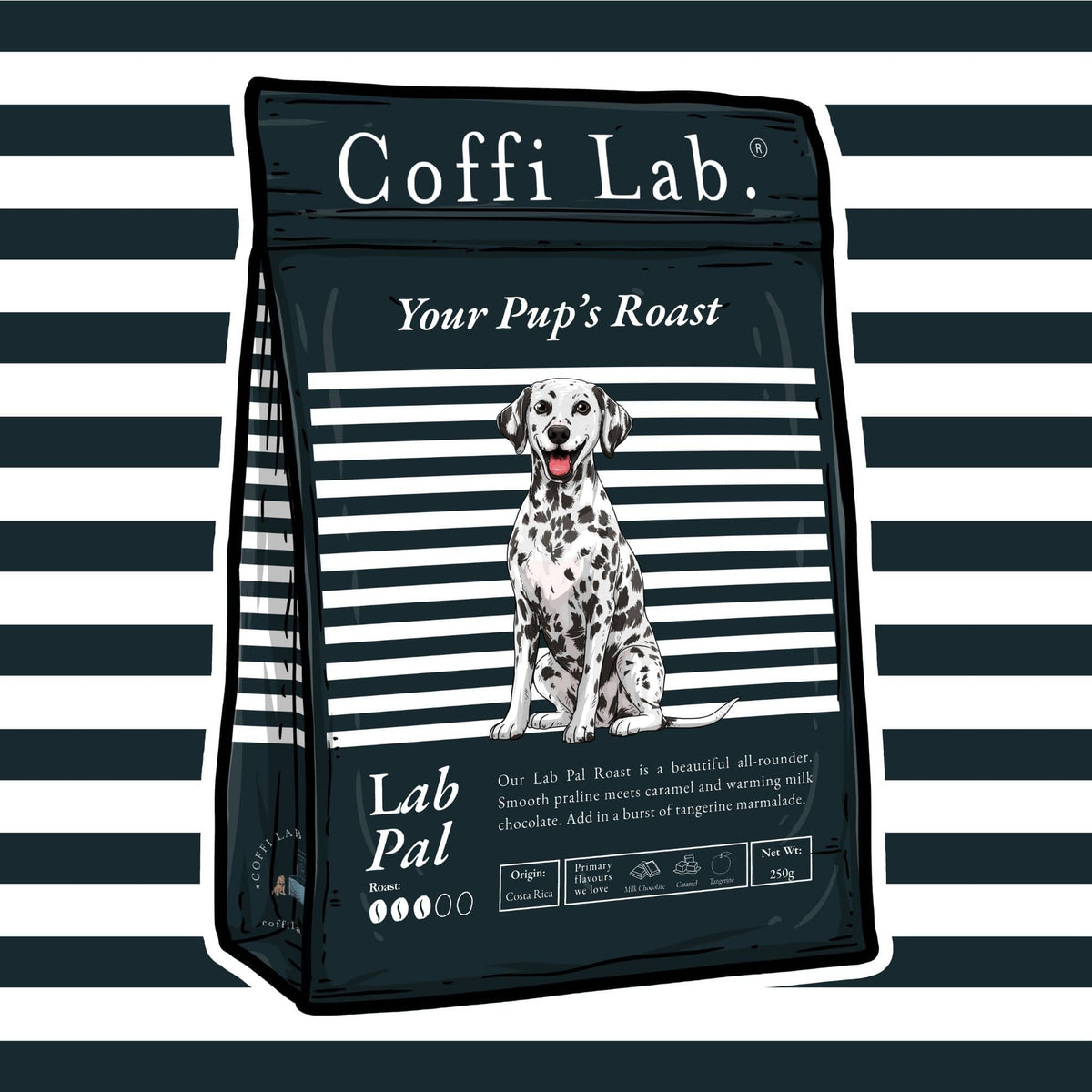 Lab Pal
