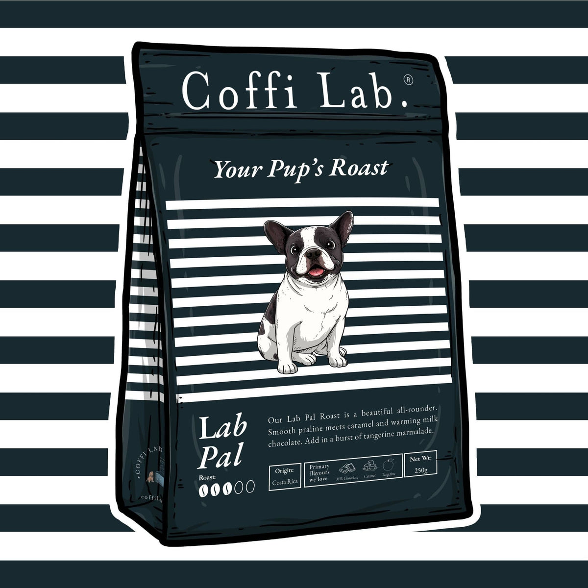 Lab Pal