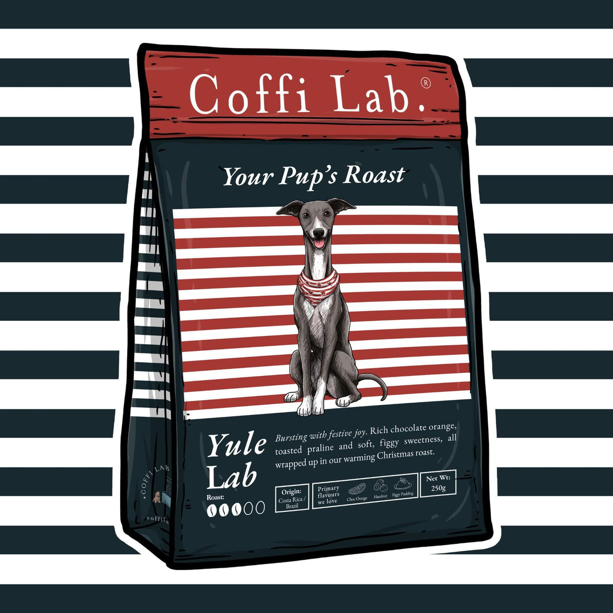 Yule Lab