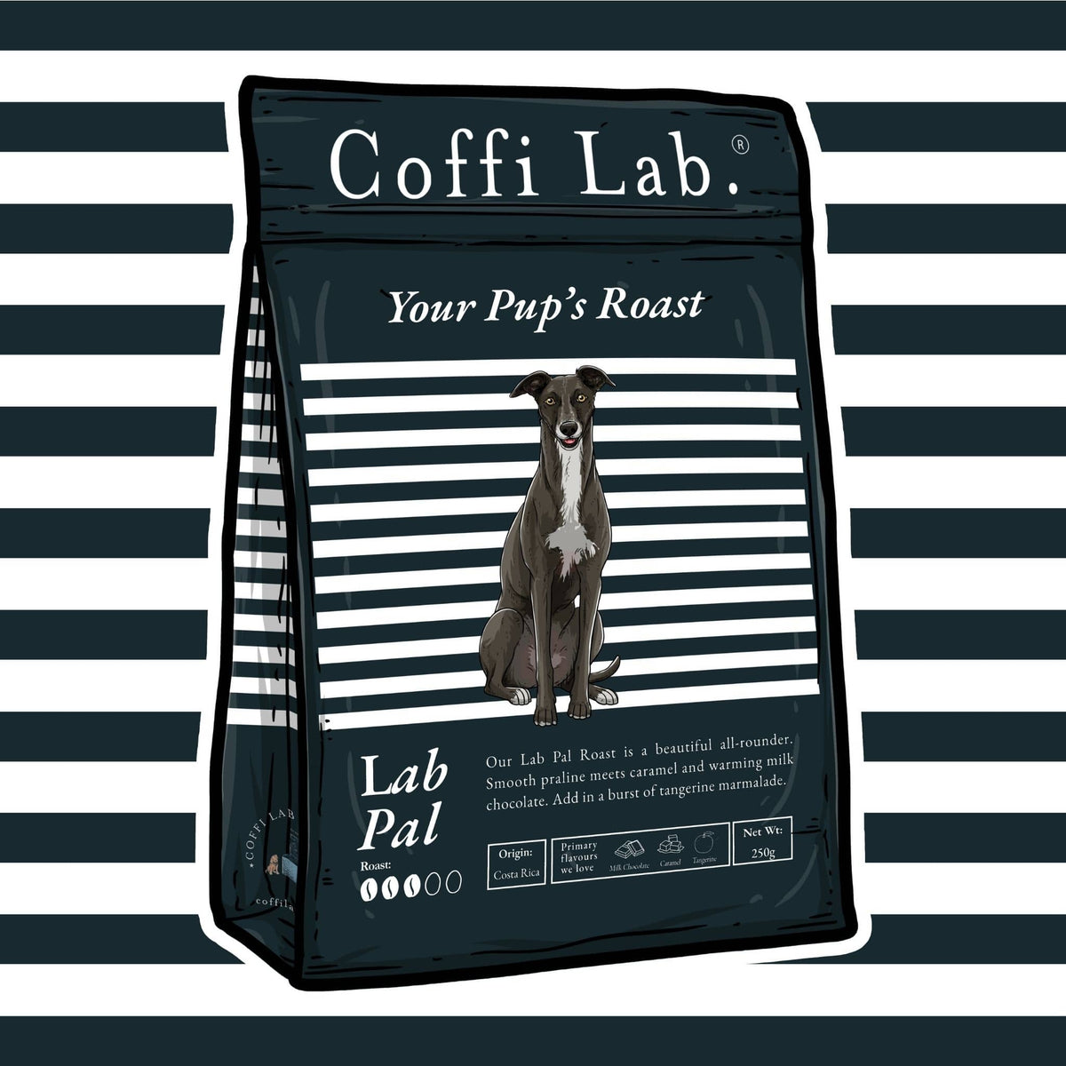 Lab Pal
