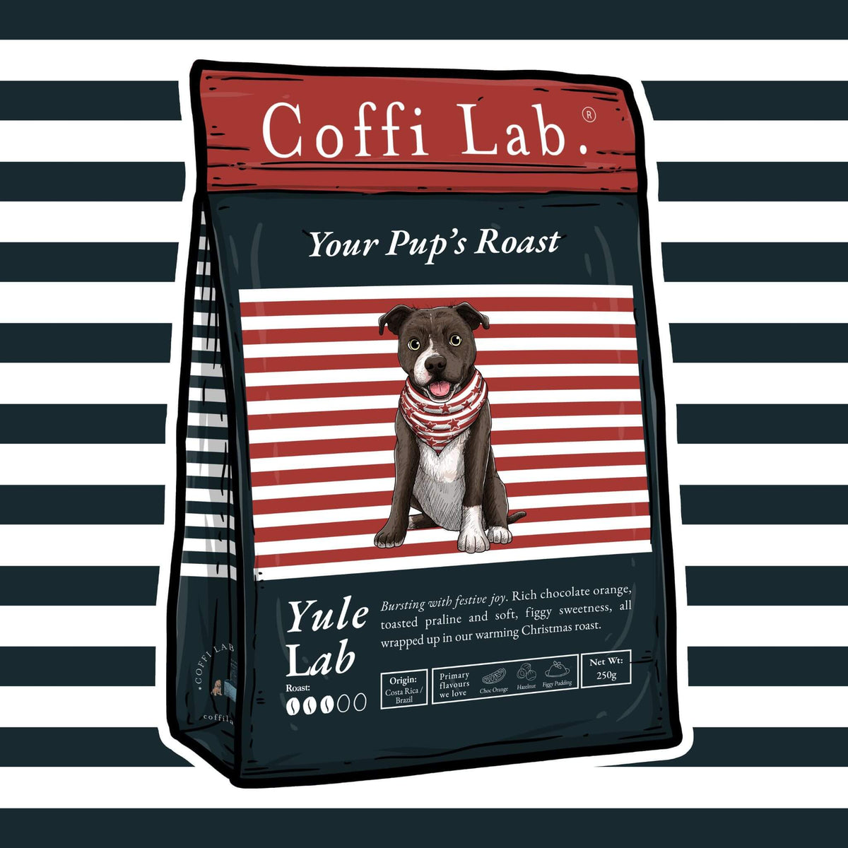 Yule Lab