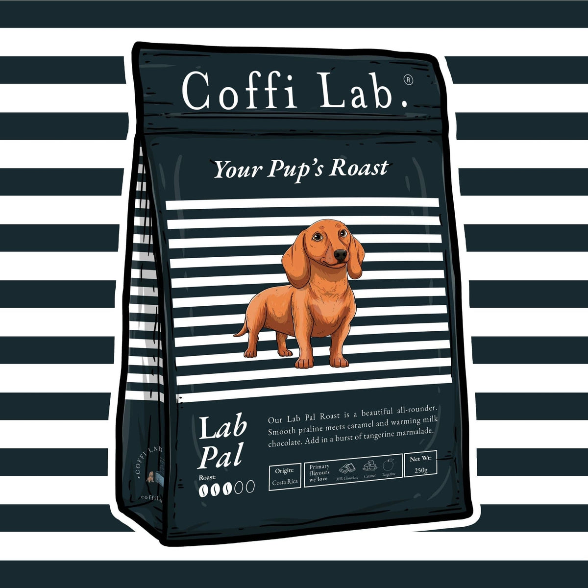 Lab Pal