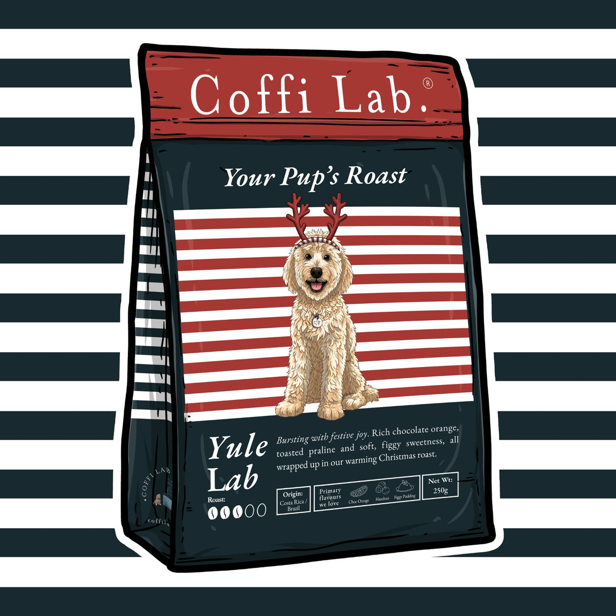 Yule Lab