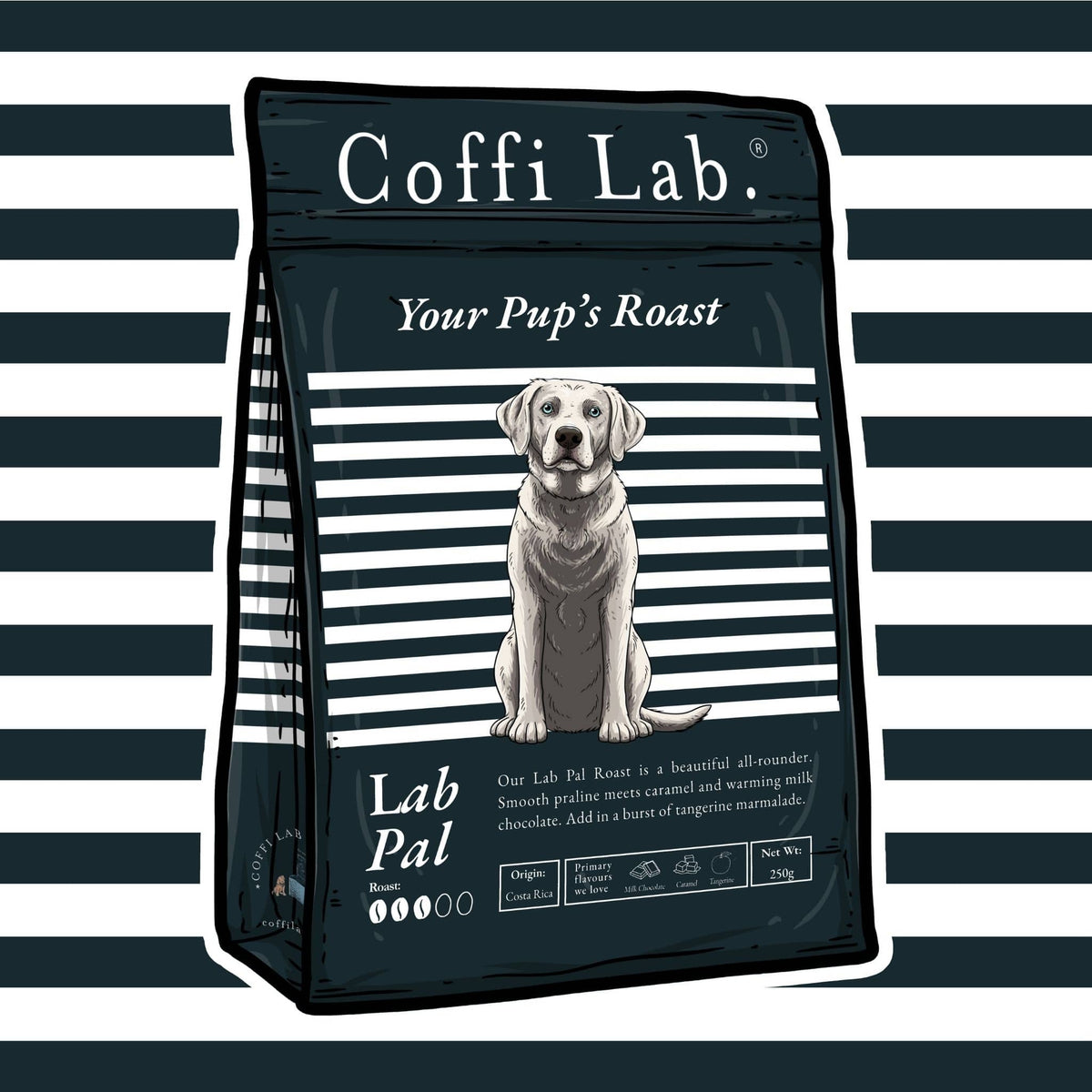 Lab Pal