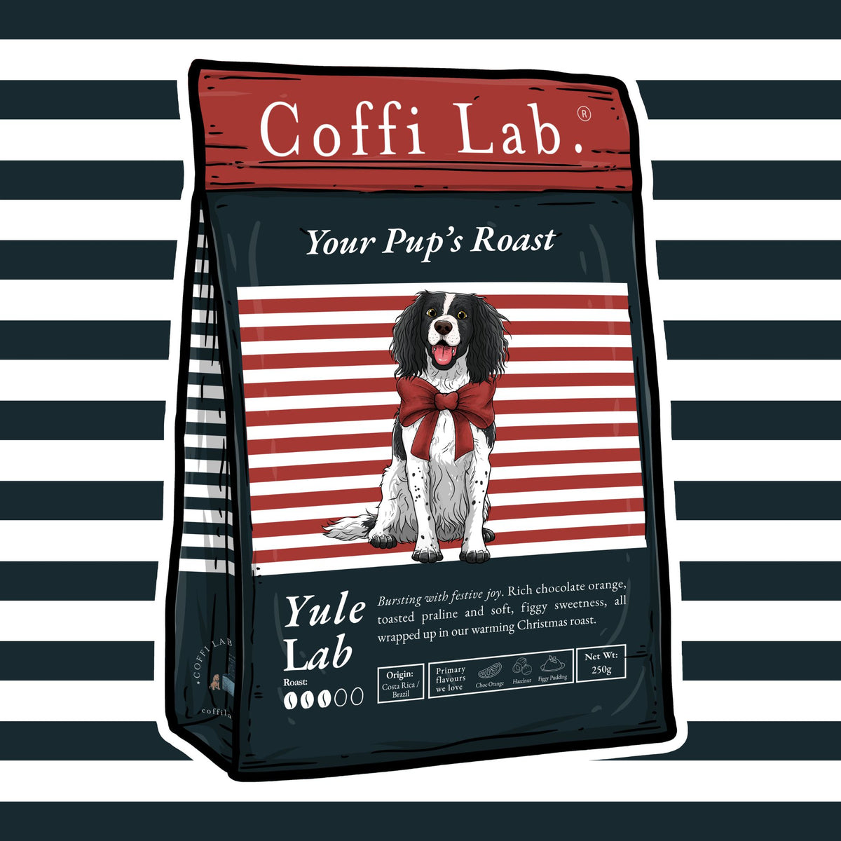 Yule Lab