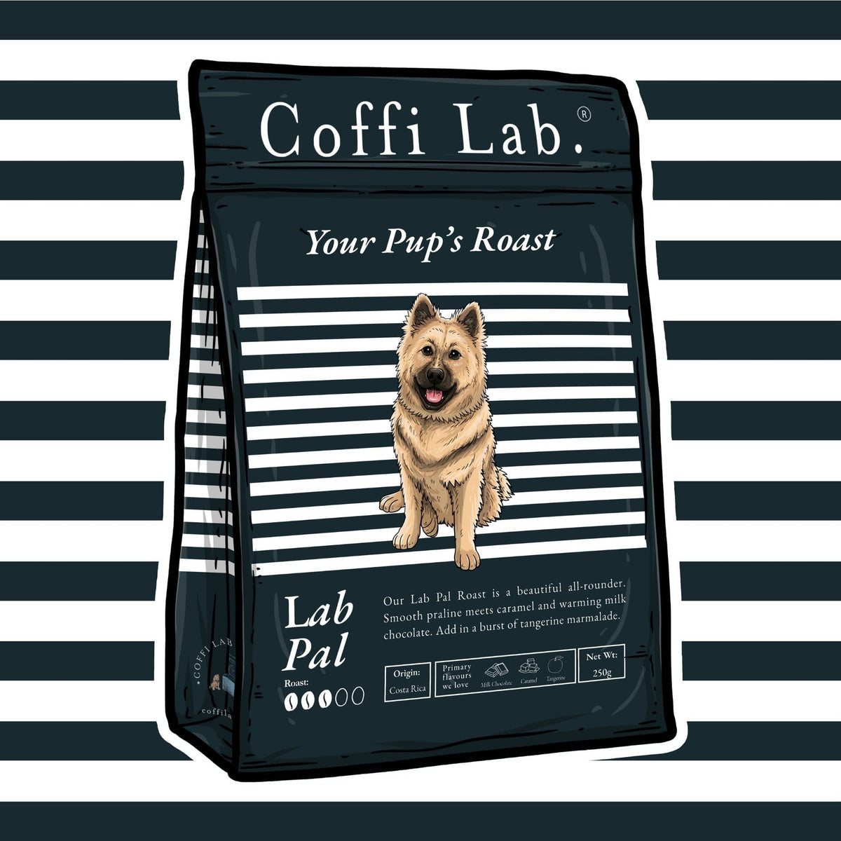 Lab Pal
