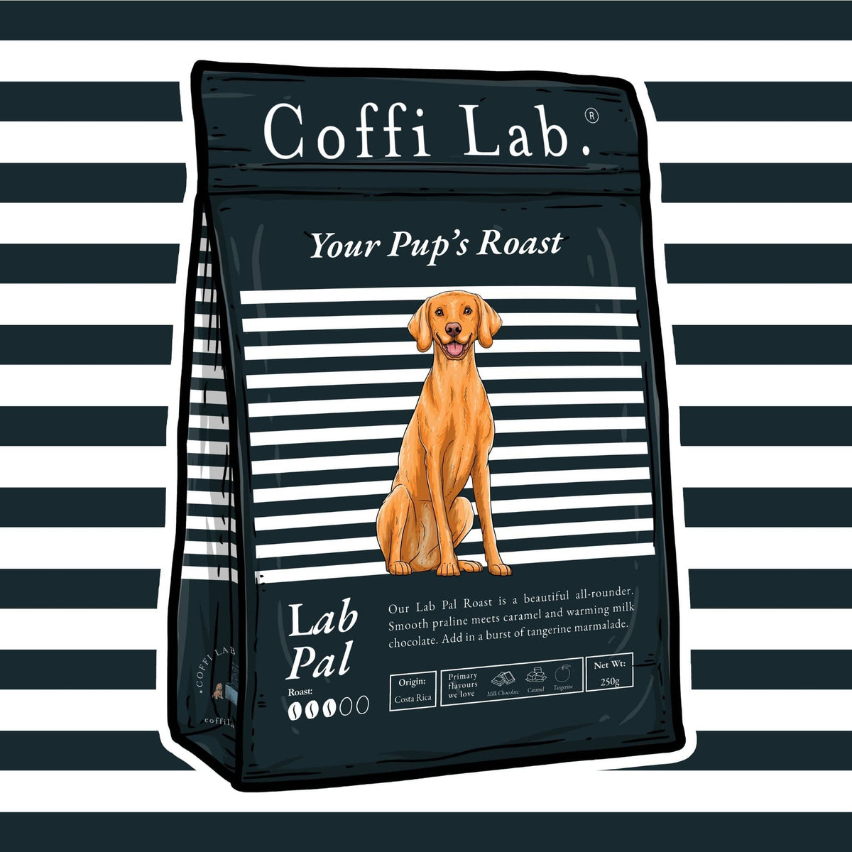 Lab Pal