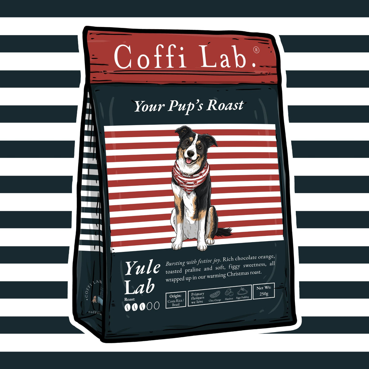 Yule Lab