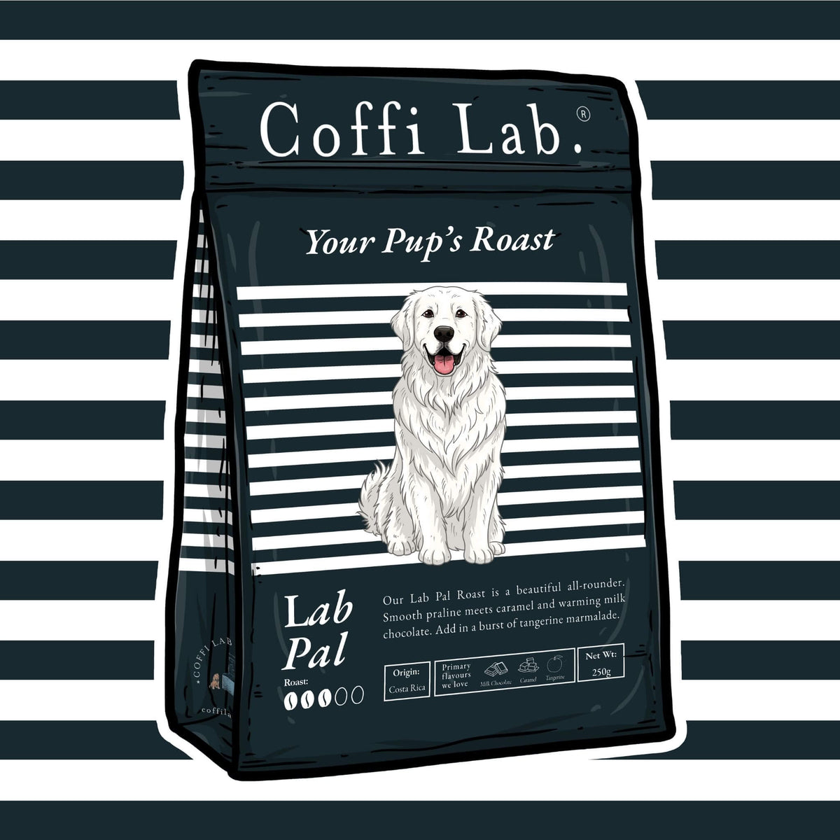 Lab Pal