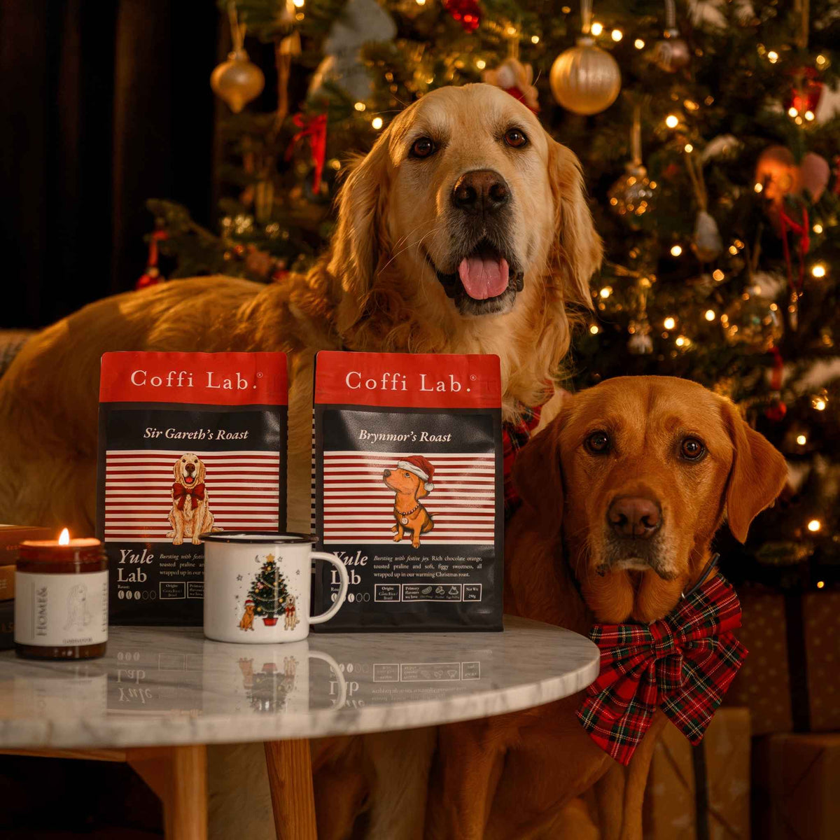 Yule Lab