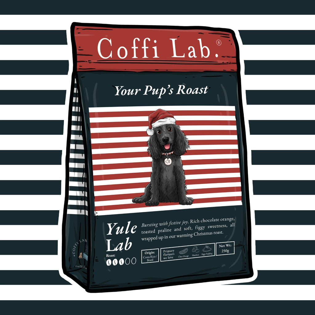 Yule Lab