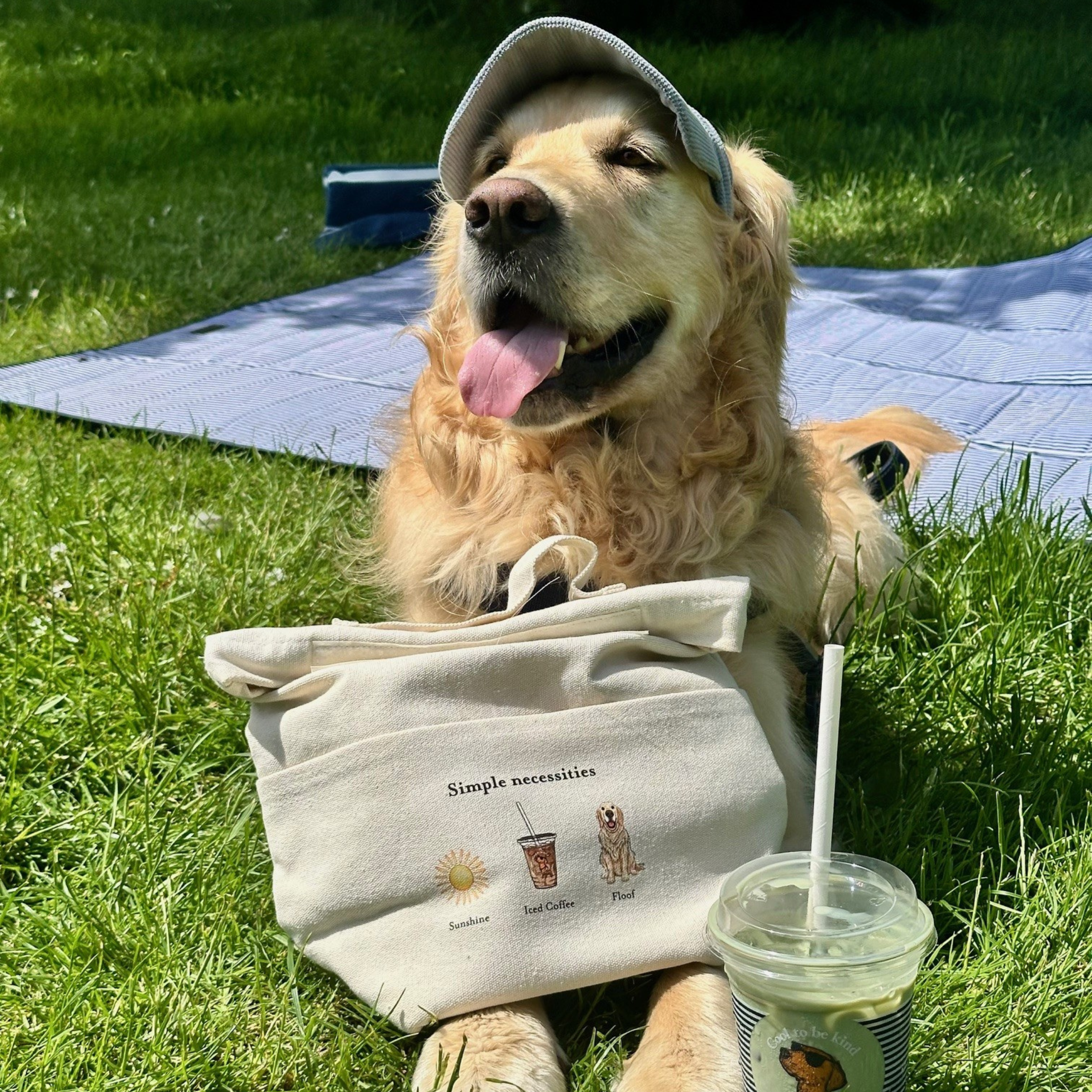 Lab Cooler Bag