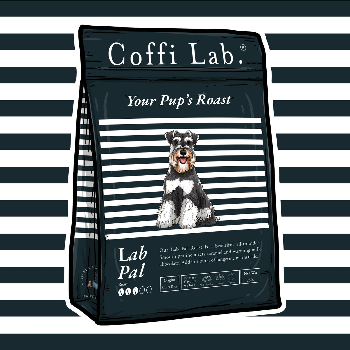 Lab Pal