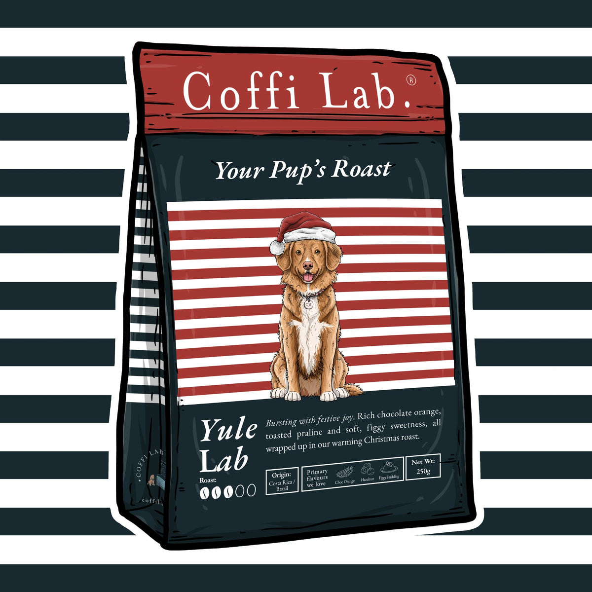 Yule Lab