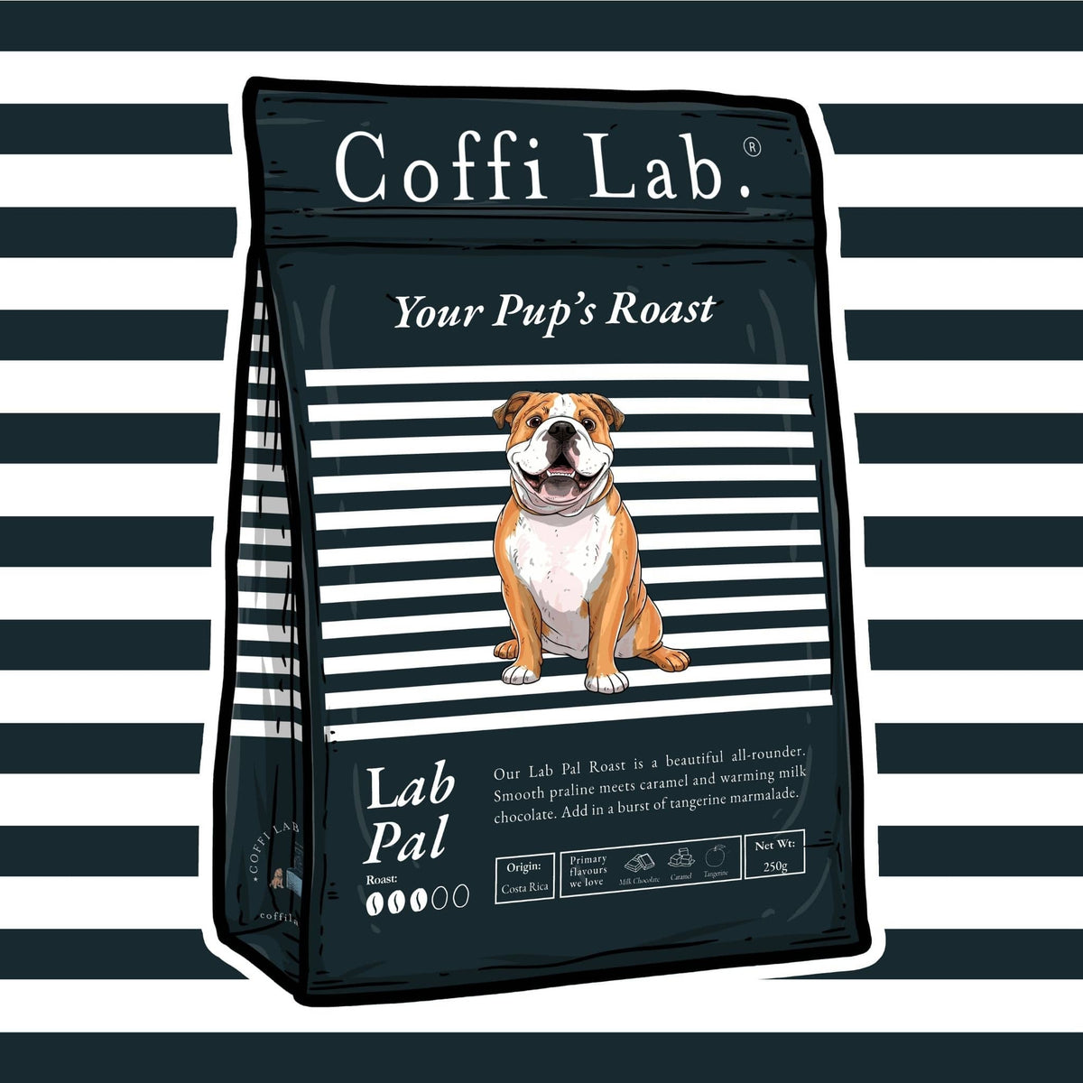Lab Pal