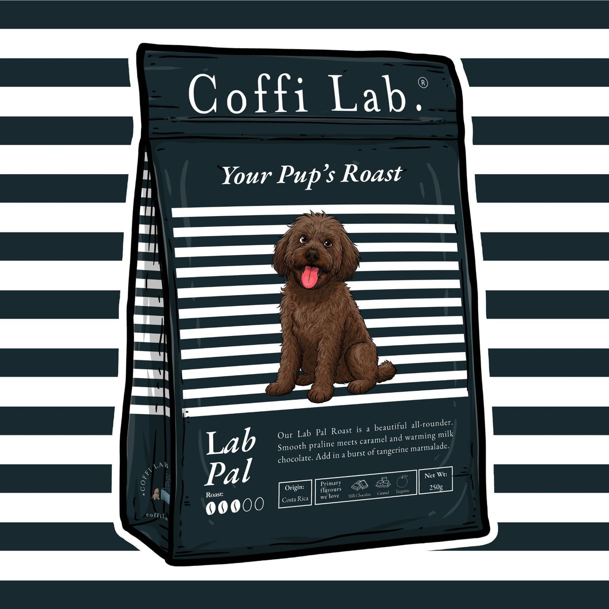 Lab Pal