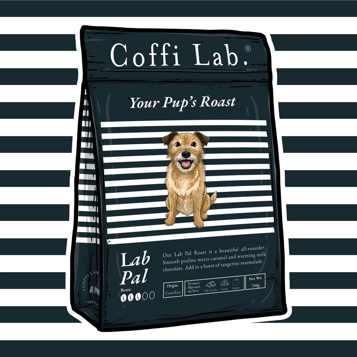 Lab Pal