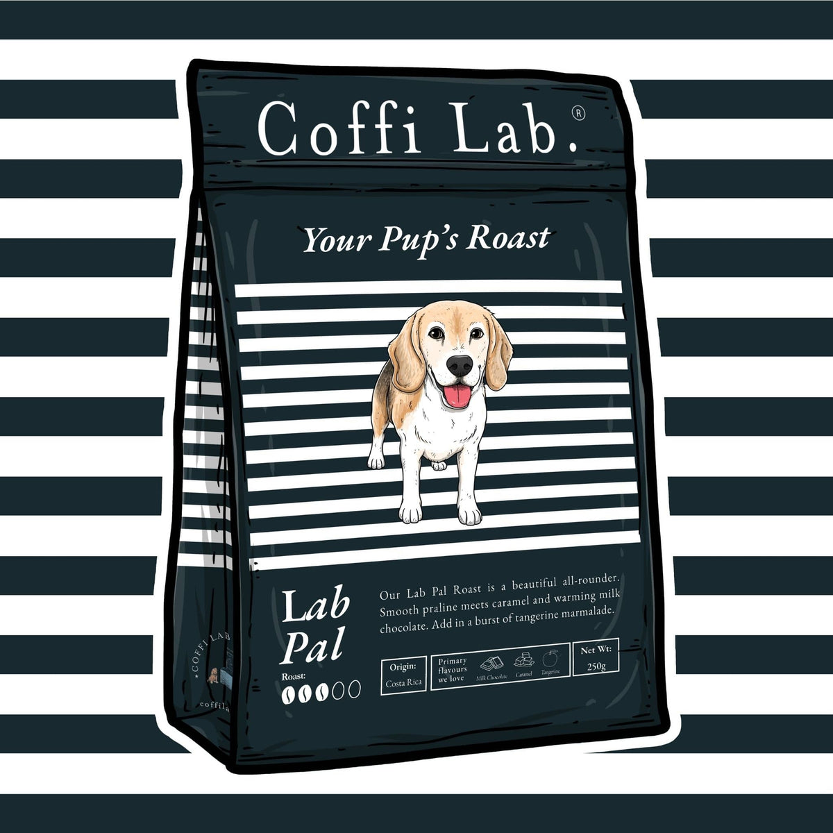 Lab Pal
