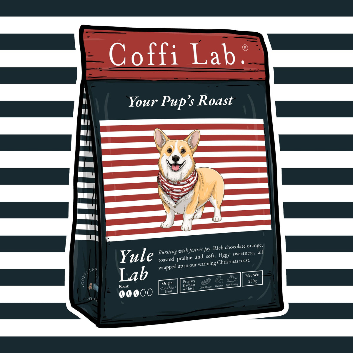 Yule Lab
