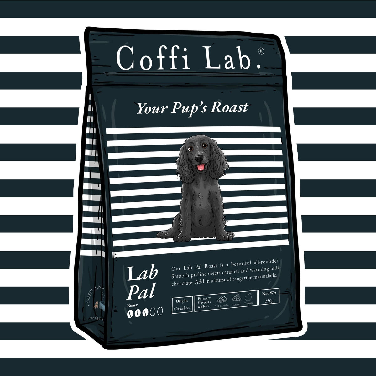 Lab Pal