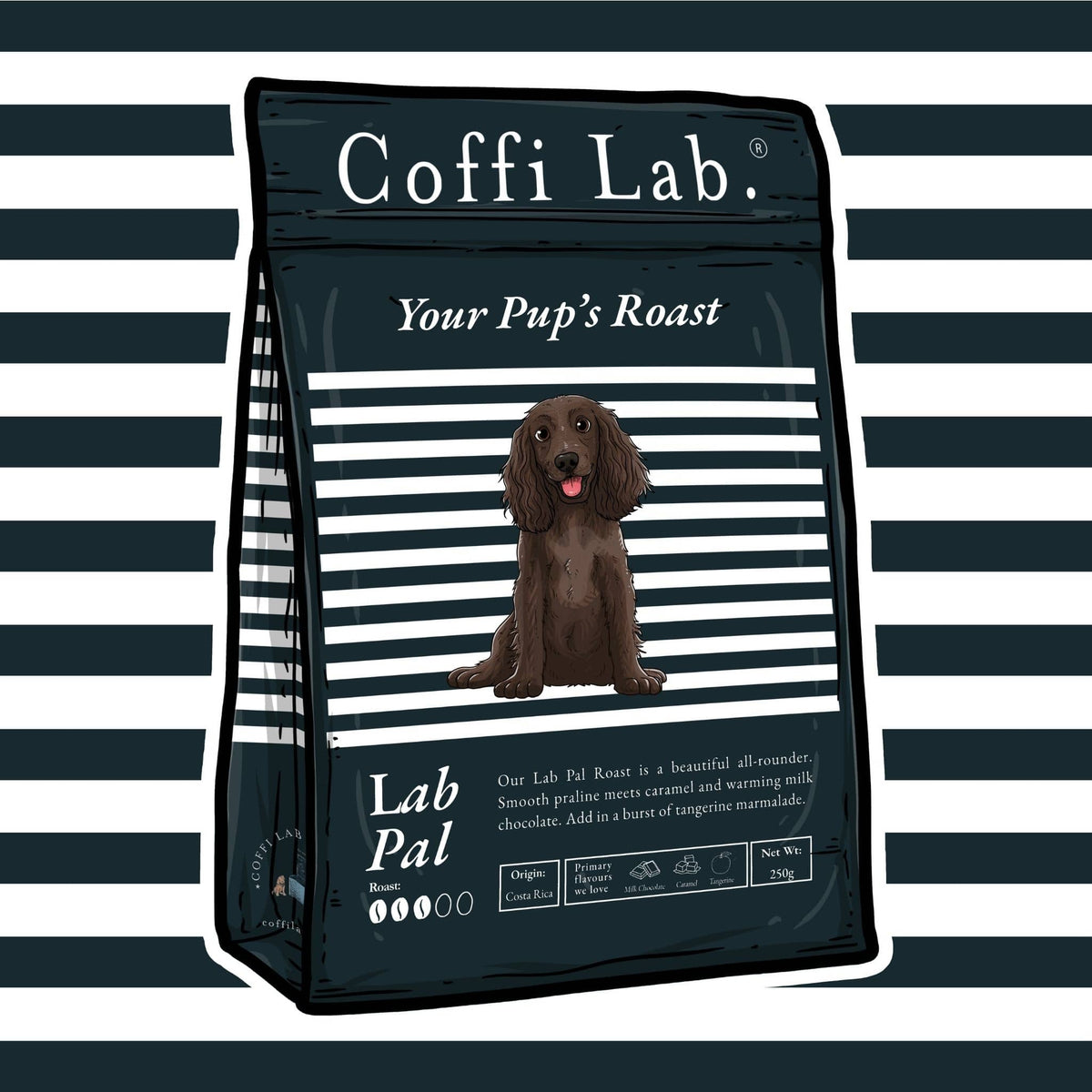 Lab Pal