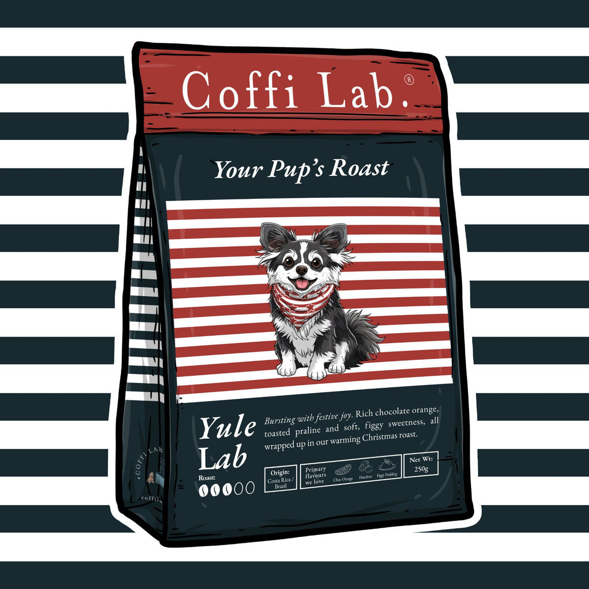 Yule Lab